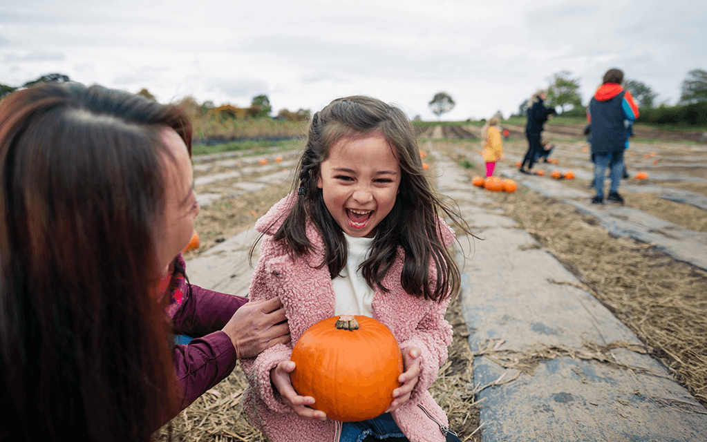 Diversión con calabazas:  actividades gratuitas y saludables para niños menores de 5 años